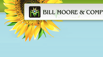 Bill Moore & Company Inc